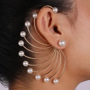 One of a kind earrings